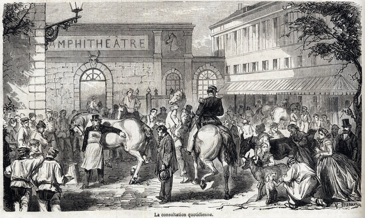 La scuola veterinaria nazionale di Alfort - Les grandes écoles de France - école vétérinaire de maison alfort nel 1866 - La consultazione quotidiana - Incisione in "Le monde illustré" del 1866 da French School