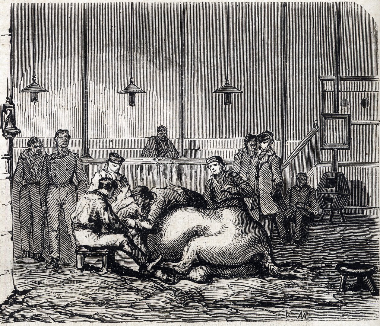 La scuola nazionale veterinaria di Alfort - Le grandi scuole di Francia - scuola veterinaria di Maison Alfort nel 1866 - la sala di dissezione - Incisione in "Le Monde Illustré" del 1866 da French School