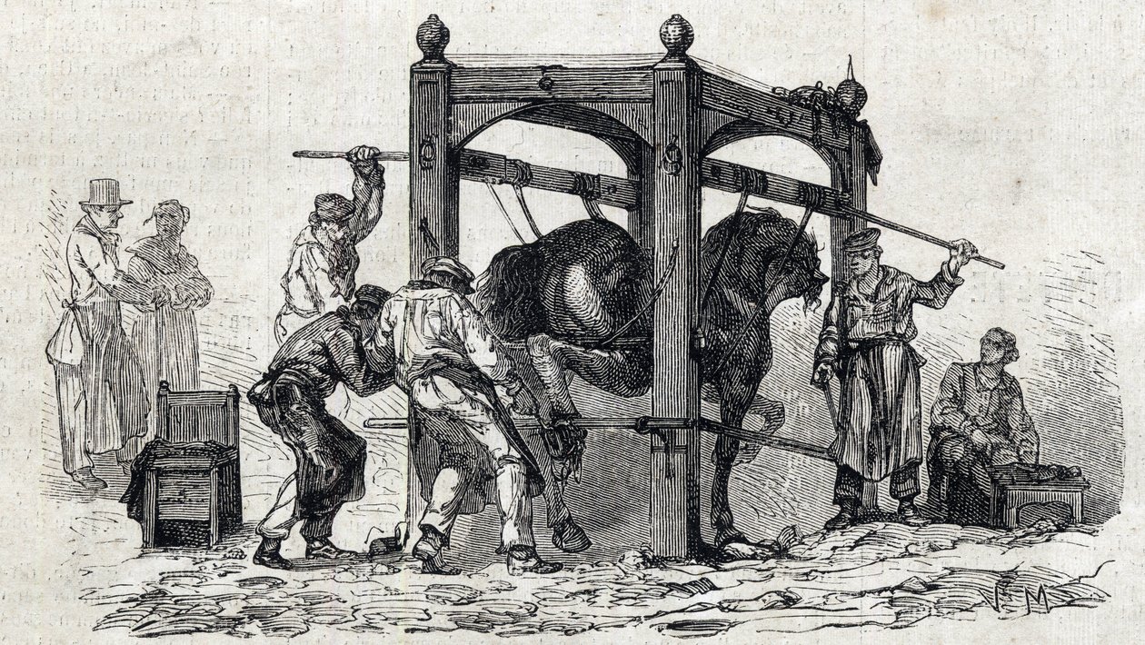 La scuola veterinaria nazionale di Alfort - Les grandes écoles de France - scuola veterinaria di Maison Alfort nel 1866 - la ferratura dei cavalli reticenti - Incisione in “Le Monde Illustré” del 1866 da French School