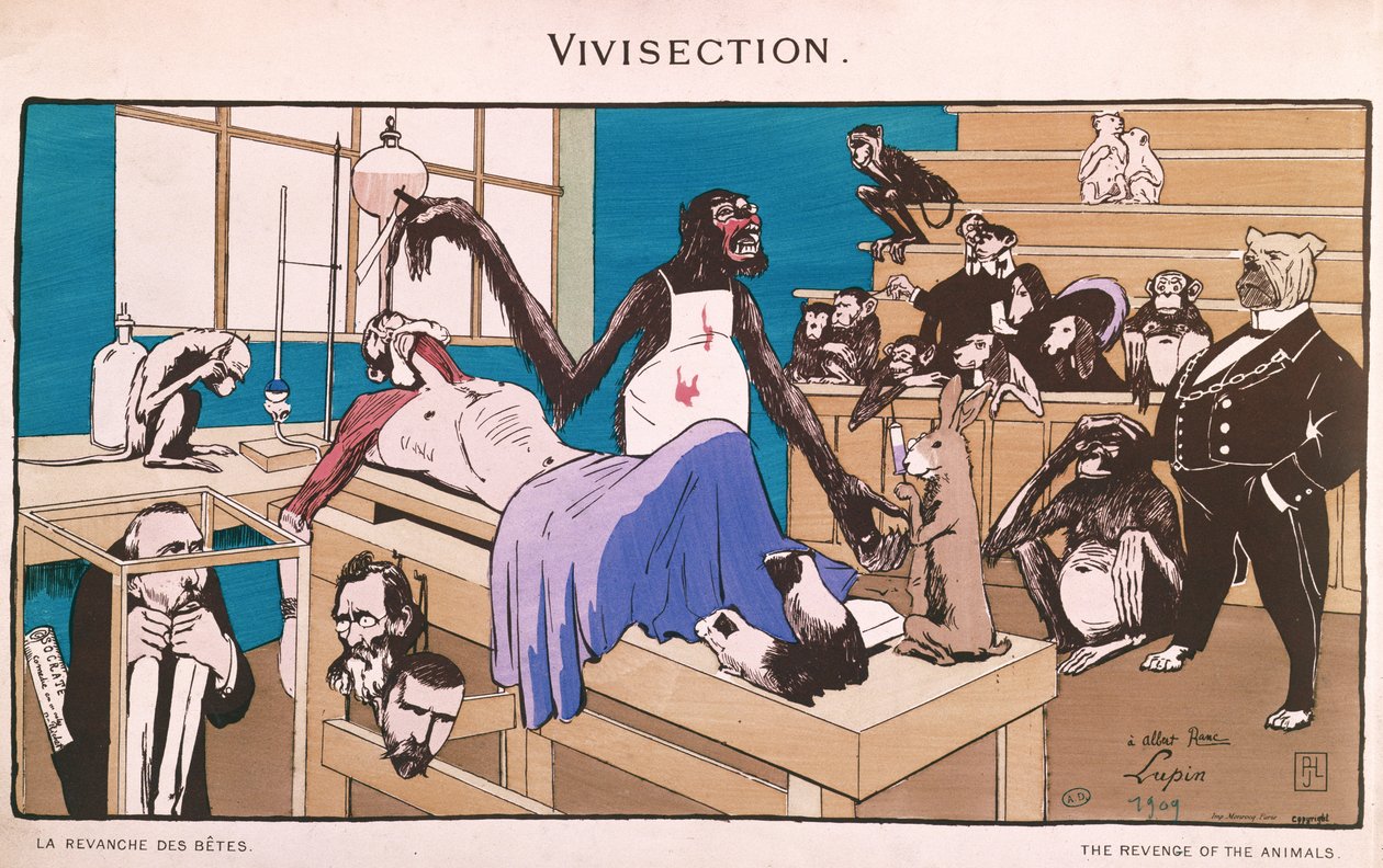La vendetta degli animali, caricatura della vivisezione, 1909 da French School
