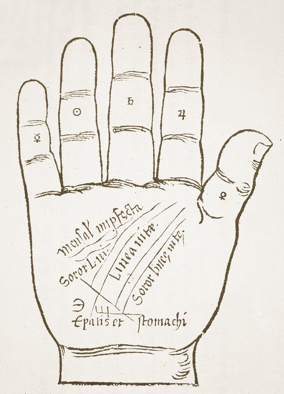 La Mano Destra, Linee Principali, copia di un