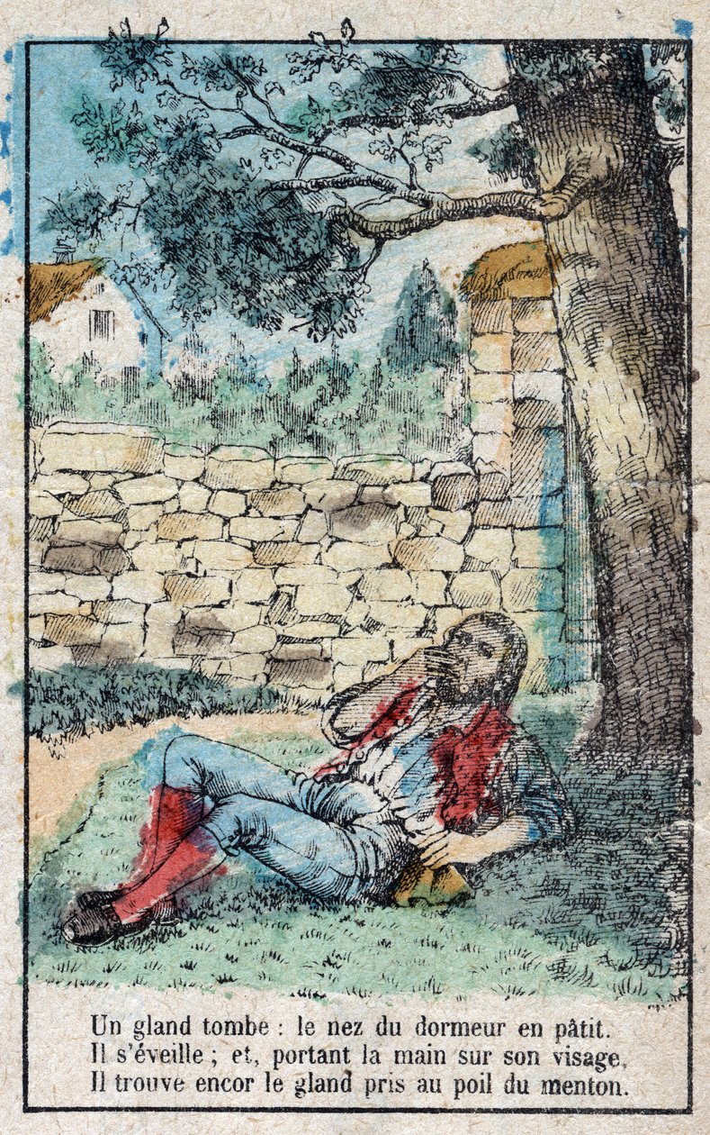 La ghianda e la zucca. Favole di Jean de La Fontaine (1621-95). Immagine di Epinal fine XIX secolo da French School