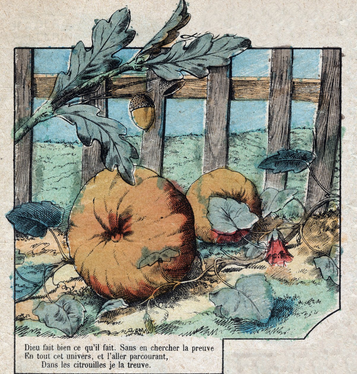 La ghianda e la zucca. Favole di Jean de La Fontaine (1621-95). Immagine di Epinal fine XIX secolo da French School