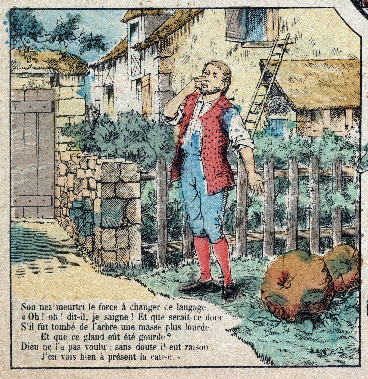 La ghianda e la zucca. Favole di Jean de La Fontaine (1621-95). Immagine di Epinal della fine del XIX secolo. da French School