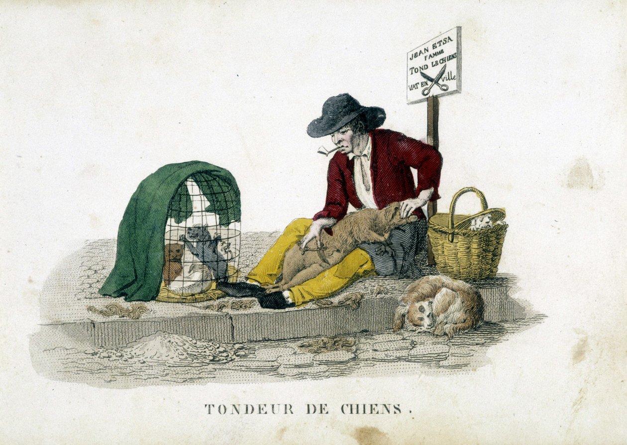 Il tosaerba per cani da French School