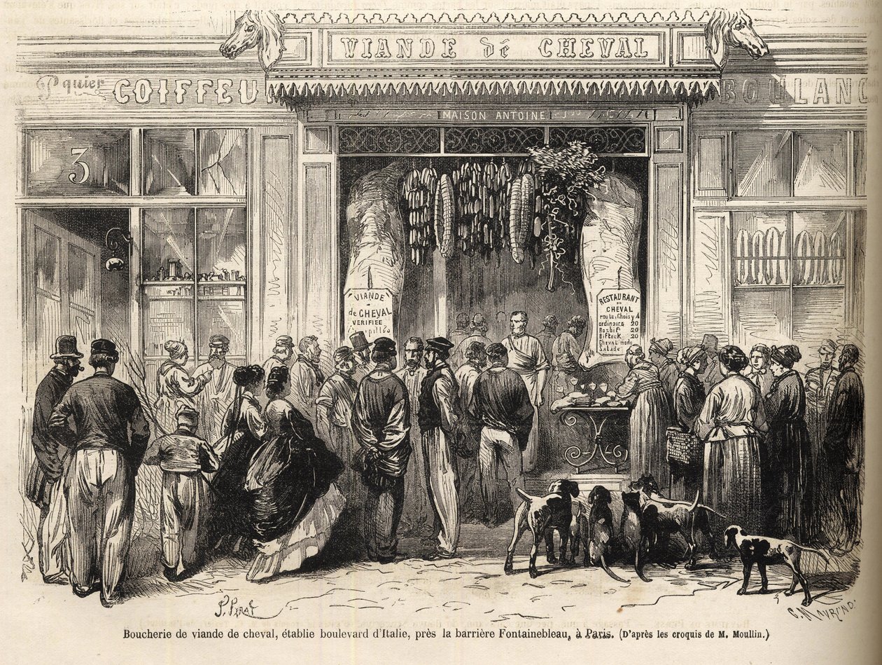 La macelleria di cavallo alla barriera di Fontainebleau (Parigi) aperta nel 1866 - macelleria equina - Macelleria di carne di cavallo Boulevard Italie presso la barriera di Fontainebleau 1866) Incisione in "Le monde illustré" del 1866 da French School