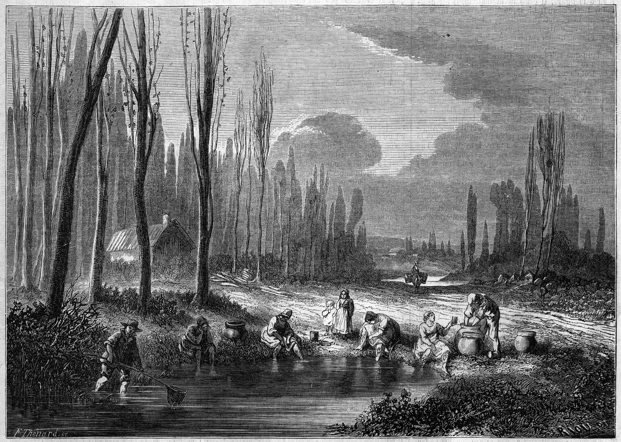 La pesca delle sanguisughe nei pressi di Versailles da French School