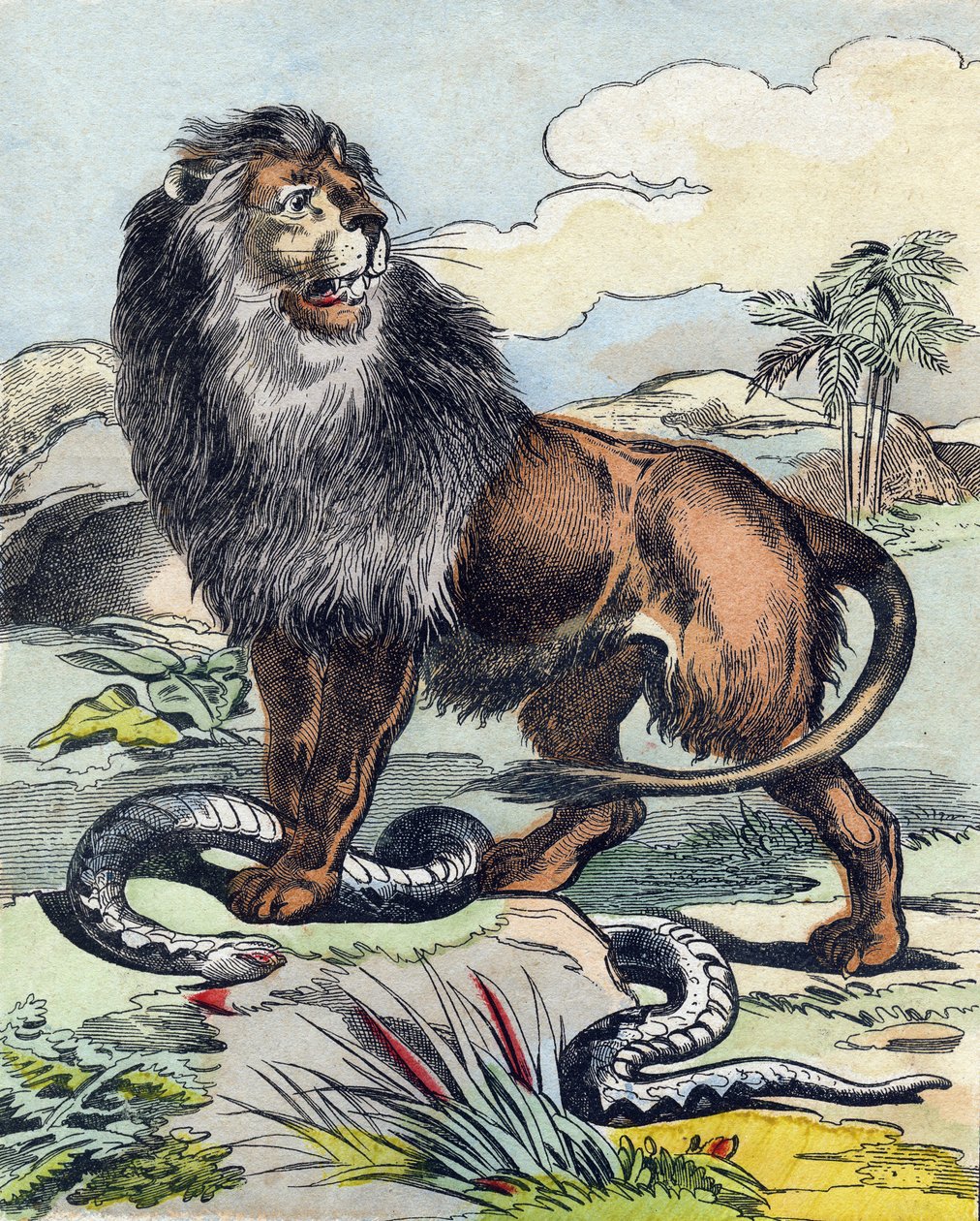 Il leone da French School