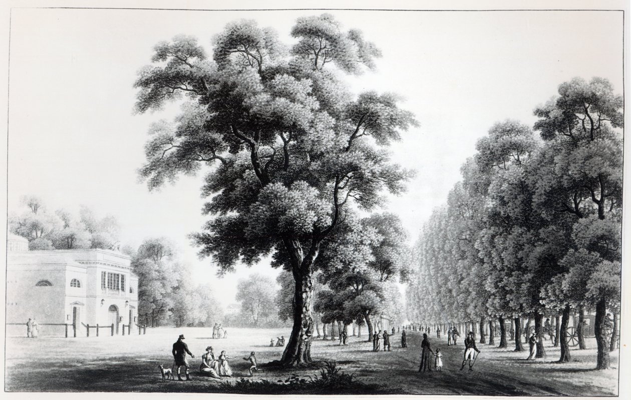 Il viale principale nel Prater, Vienna, 1821 da French School