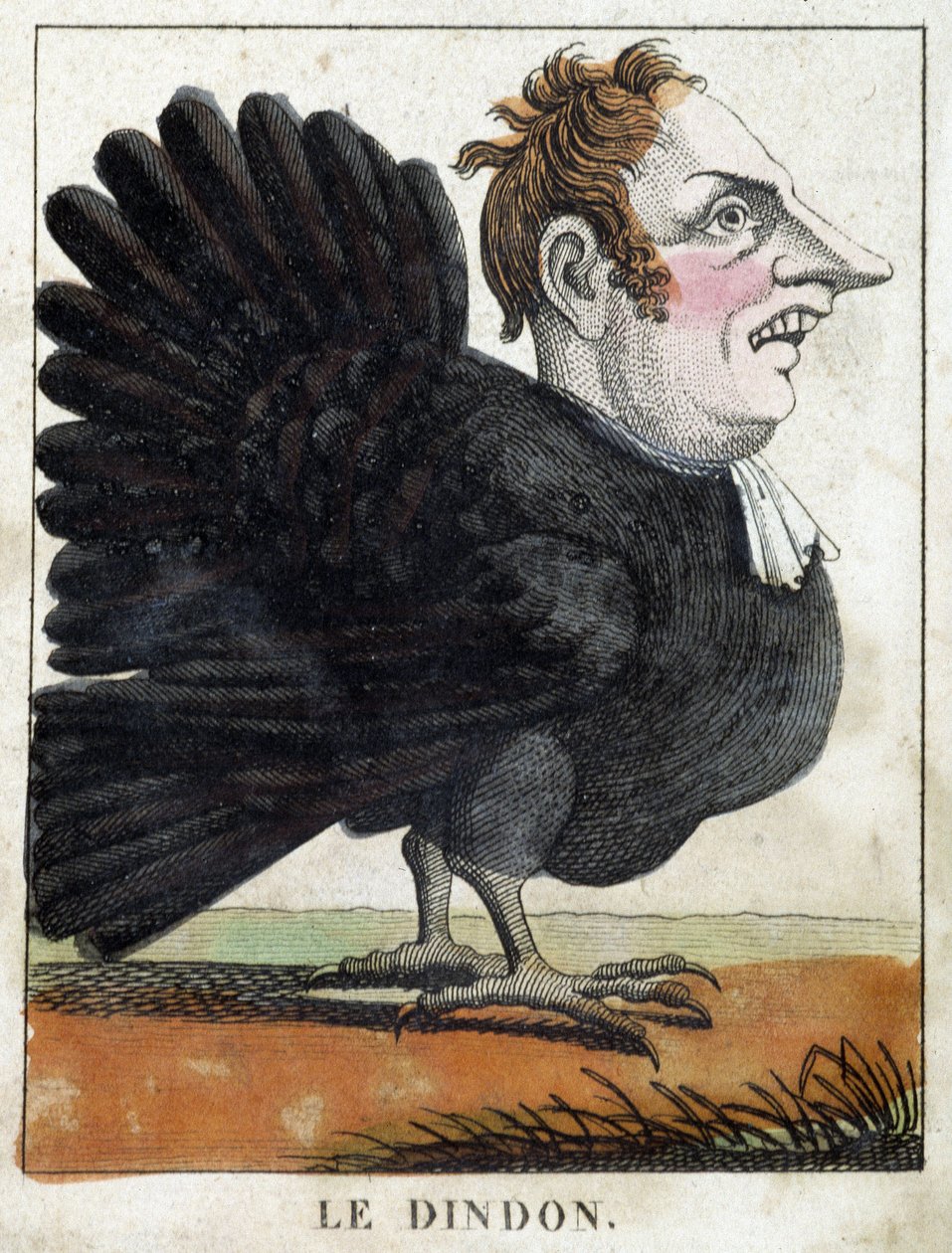 Il tacchino in caricatura, studio del carattere “carattere volatile” sd. XIX secolo, immaginario popolare. da French School