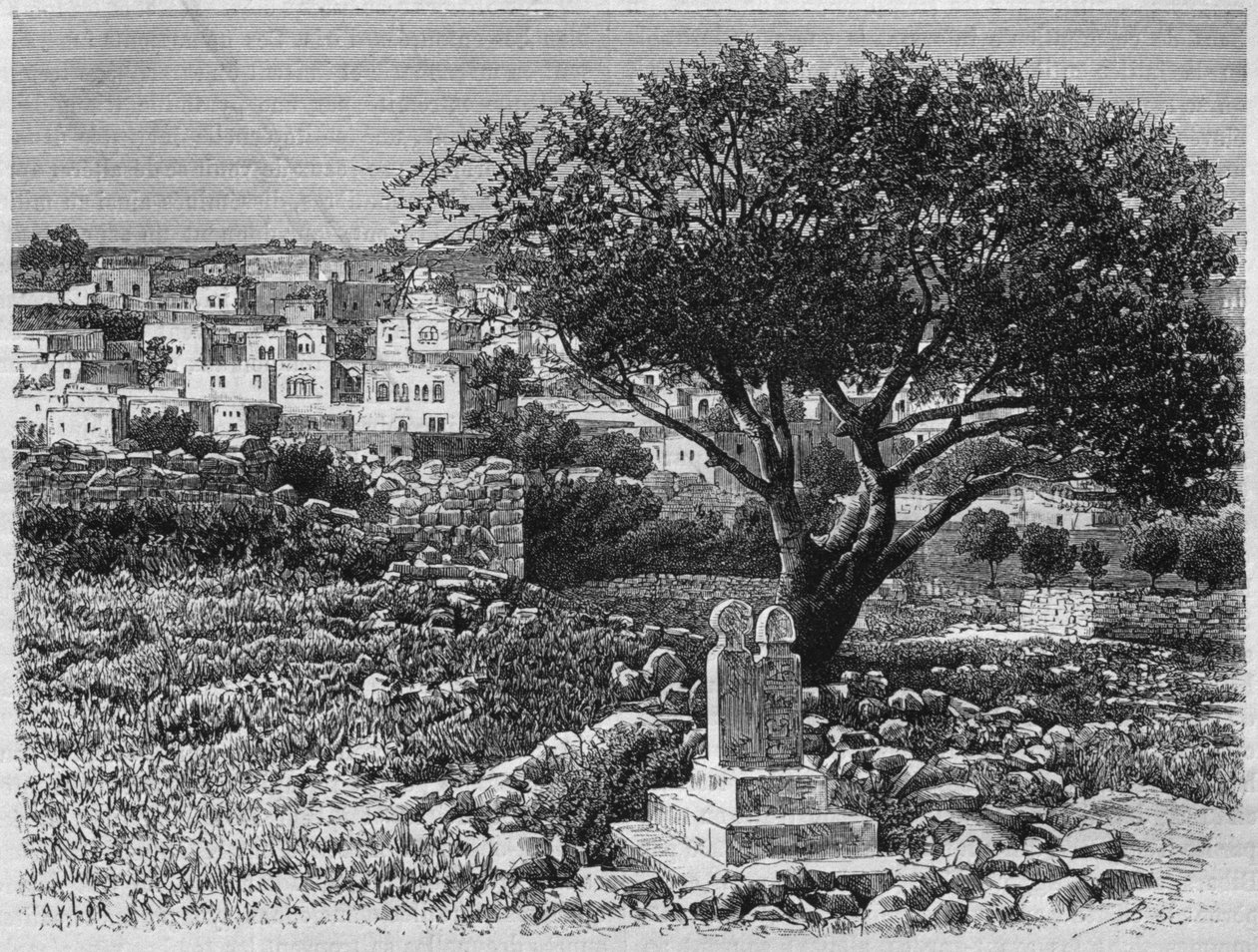Veduta di Safed, da La Syrie d