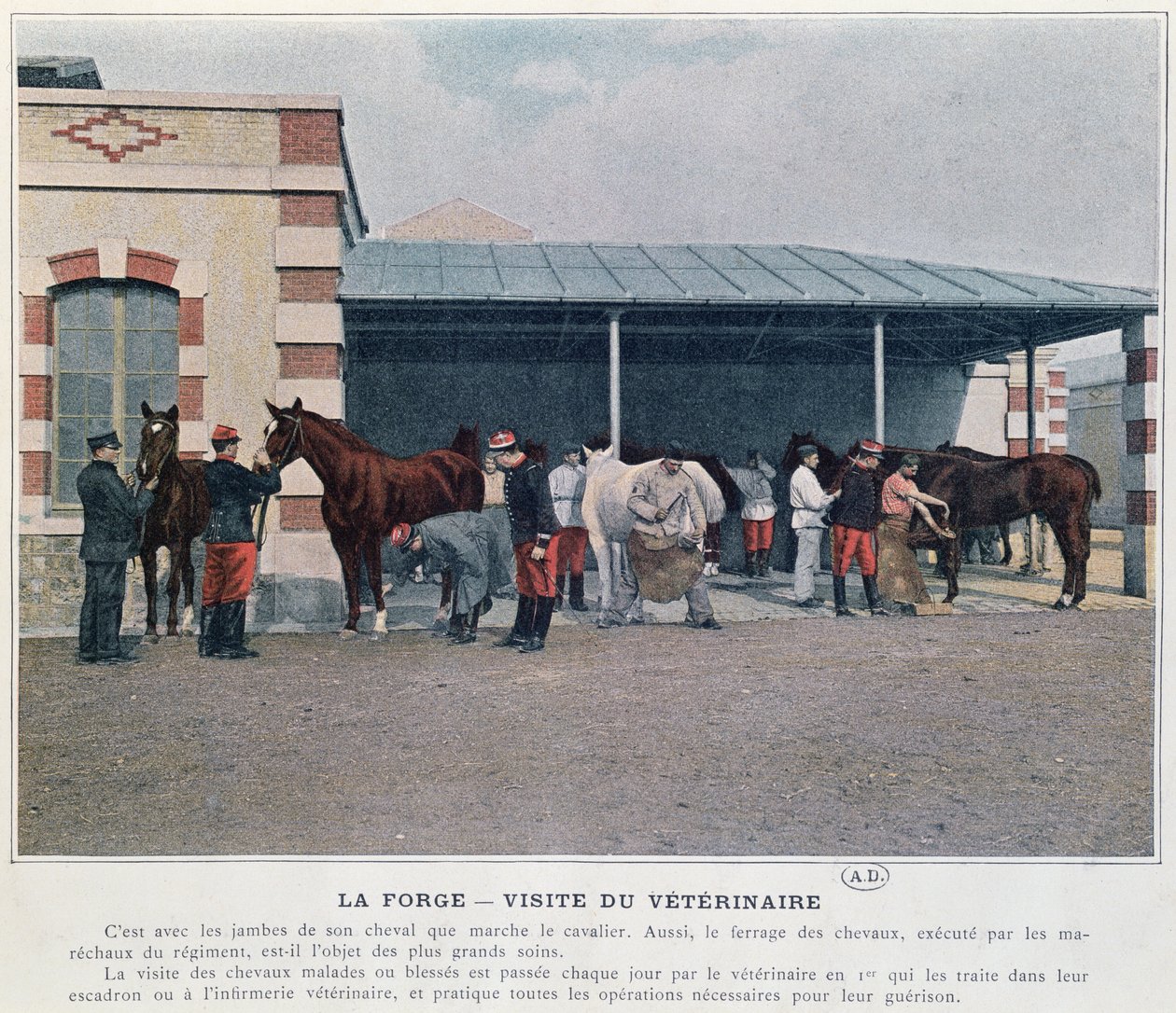 Visita del veterinario dell