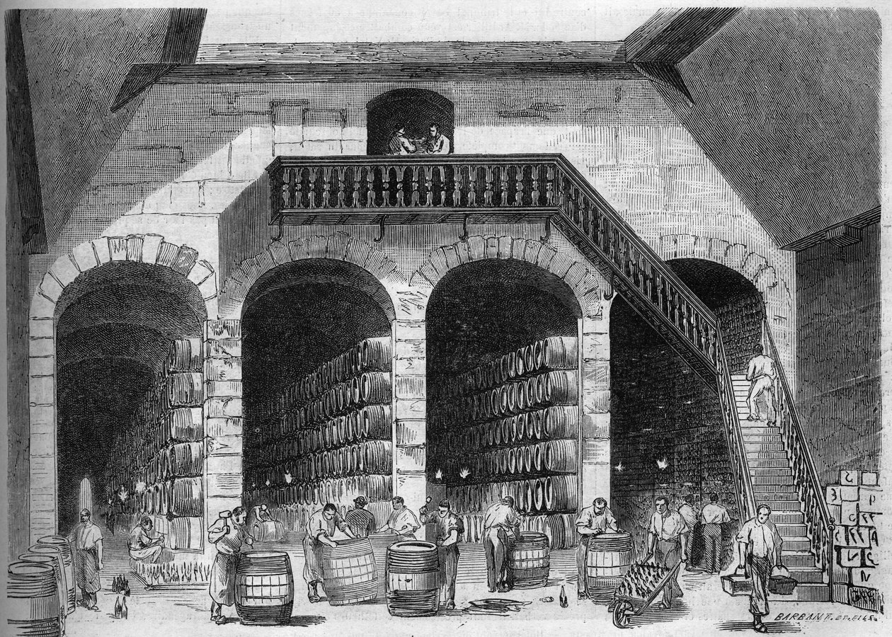 Viticoltura: vista interna delle cantine di M. Cruse et fils freres, Bordeaux, Gironda (33) da French School