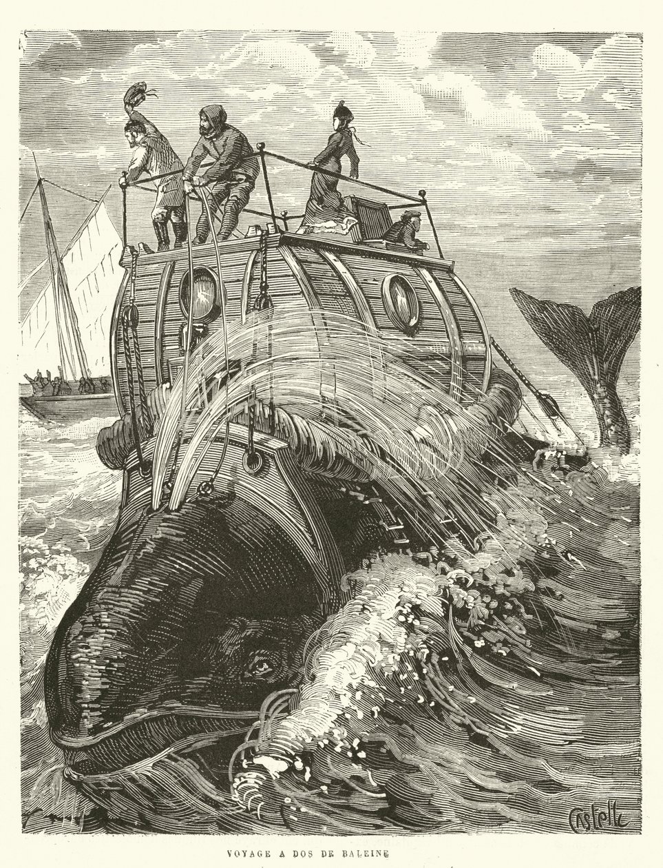 Viaggio a Dos de Baleine (incisione) da French School