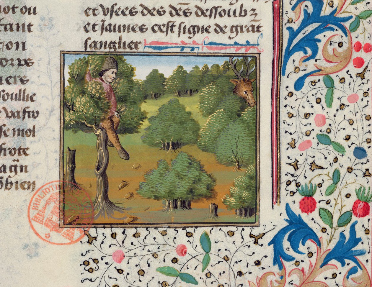 Aspettando i Cervi Nascosti in un Albero, dal Livre de la Chasse di Gaston Phebus da French School