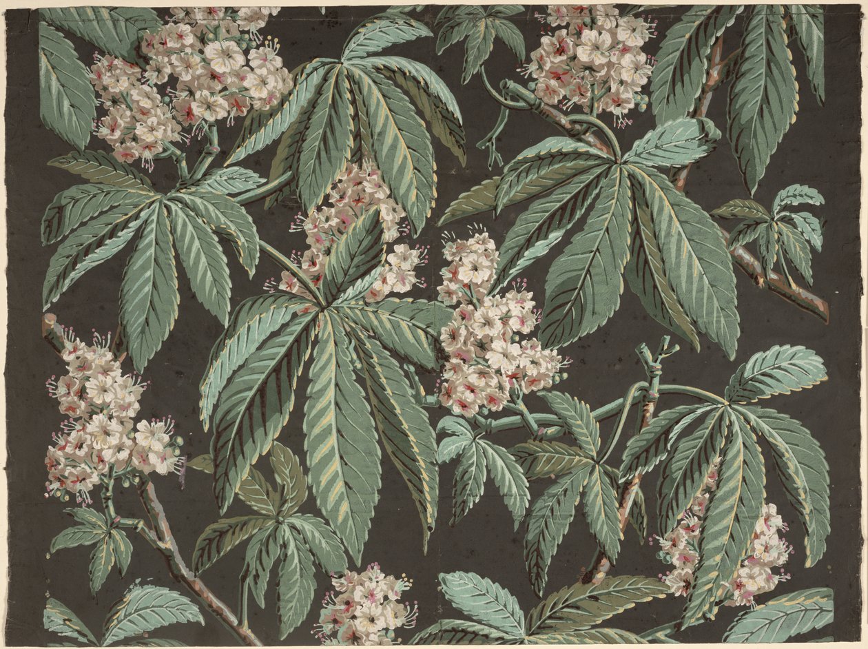 Disegno per Carta da Parati con Ramo di Castagno (dettaglio) ca. 1810, prodotto da Josef Dufour (1752-1827), Parigi da French School