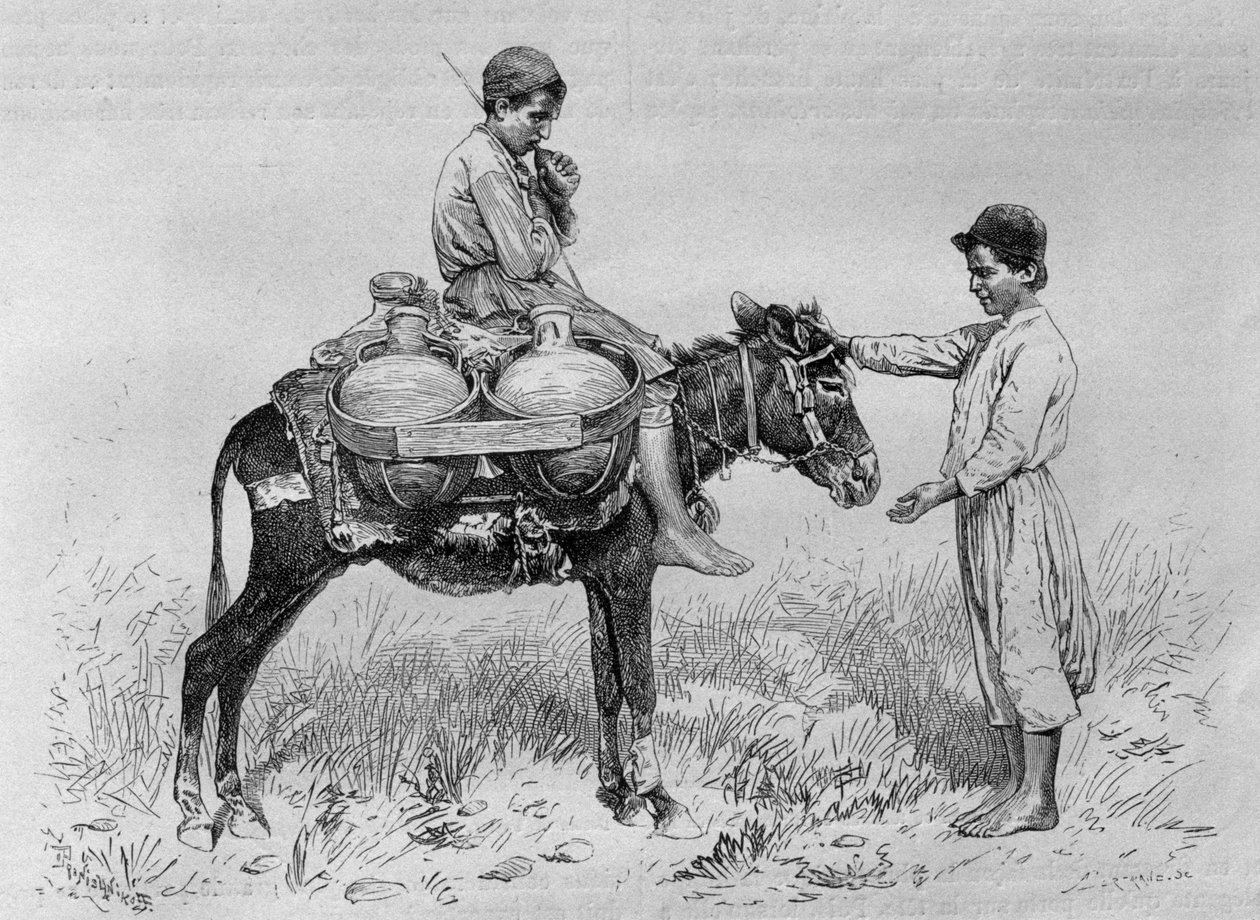 Portatore d