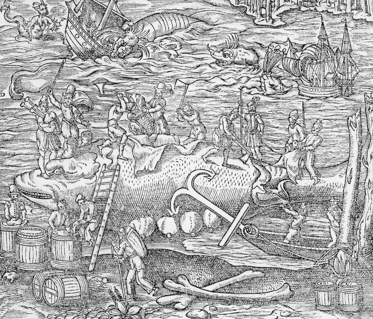 La pesca delle balene, illustrazione da "Cosmographie Universelle", di Andre de Thevet da French School