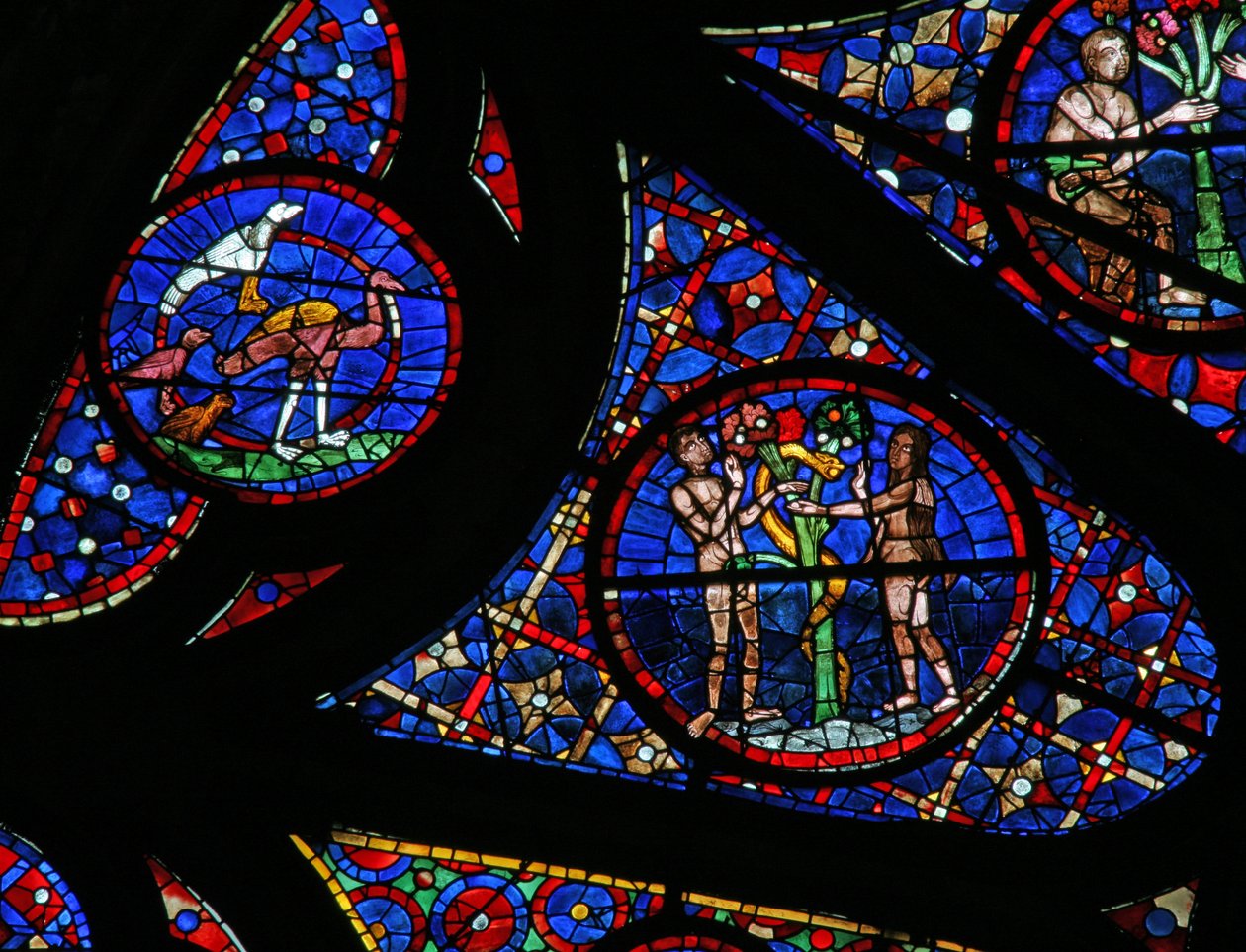 Finestra w115 raffigurante la Creazione: uccelli, Adamo ed Eva e il serpente da French School