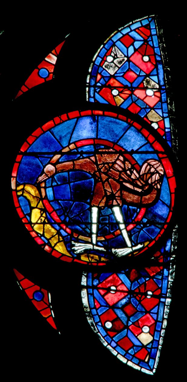 La creazione degli uccelli - un uccello insolito da French School
