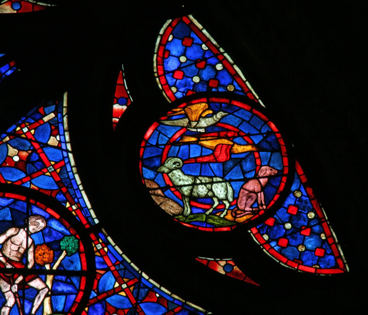 La creazione degli uccelli e degli animali da French School