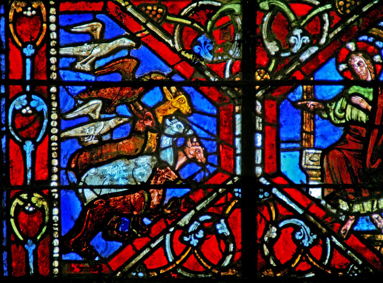 Creazione degli uccelli e degli animali da French School
