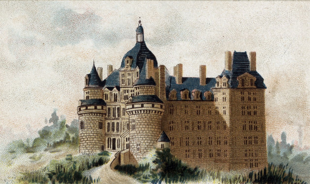 vista del castello di Brissac (Maine et Loire) da French School