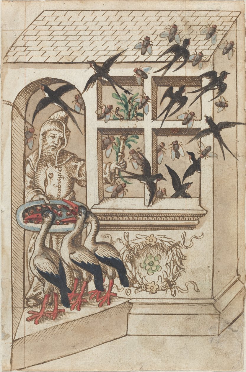 "Non avere rondini sotto lo stesso tetto" da French early 16th Century