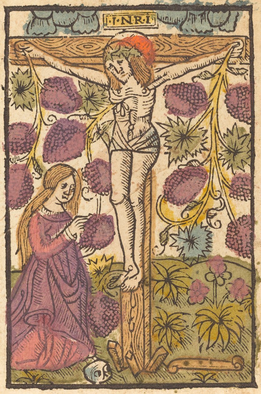 Cristo sulla Croce con una Vite da French or Netherlandish 15th Century