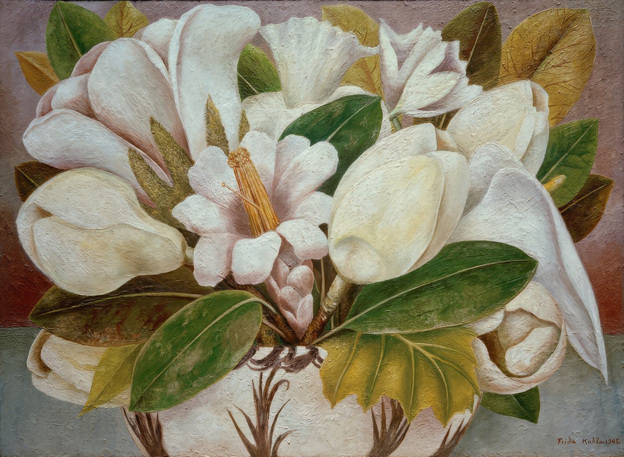 Magnolia da Frida Kahlo