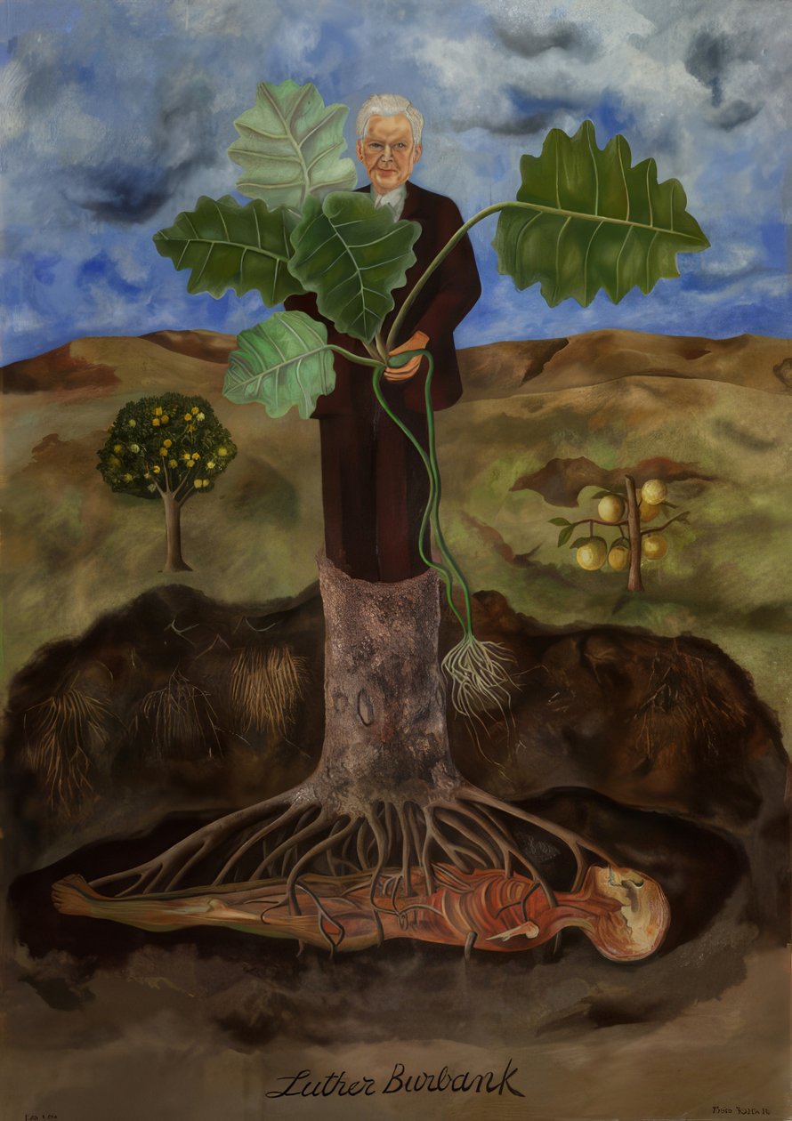 Ritratto di Luther Burbank da Frida Kahlo