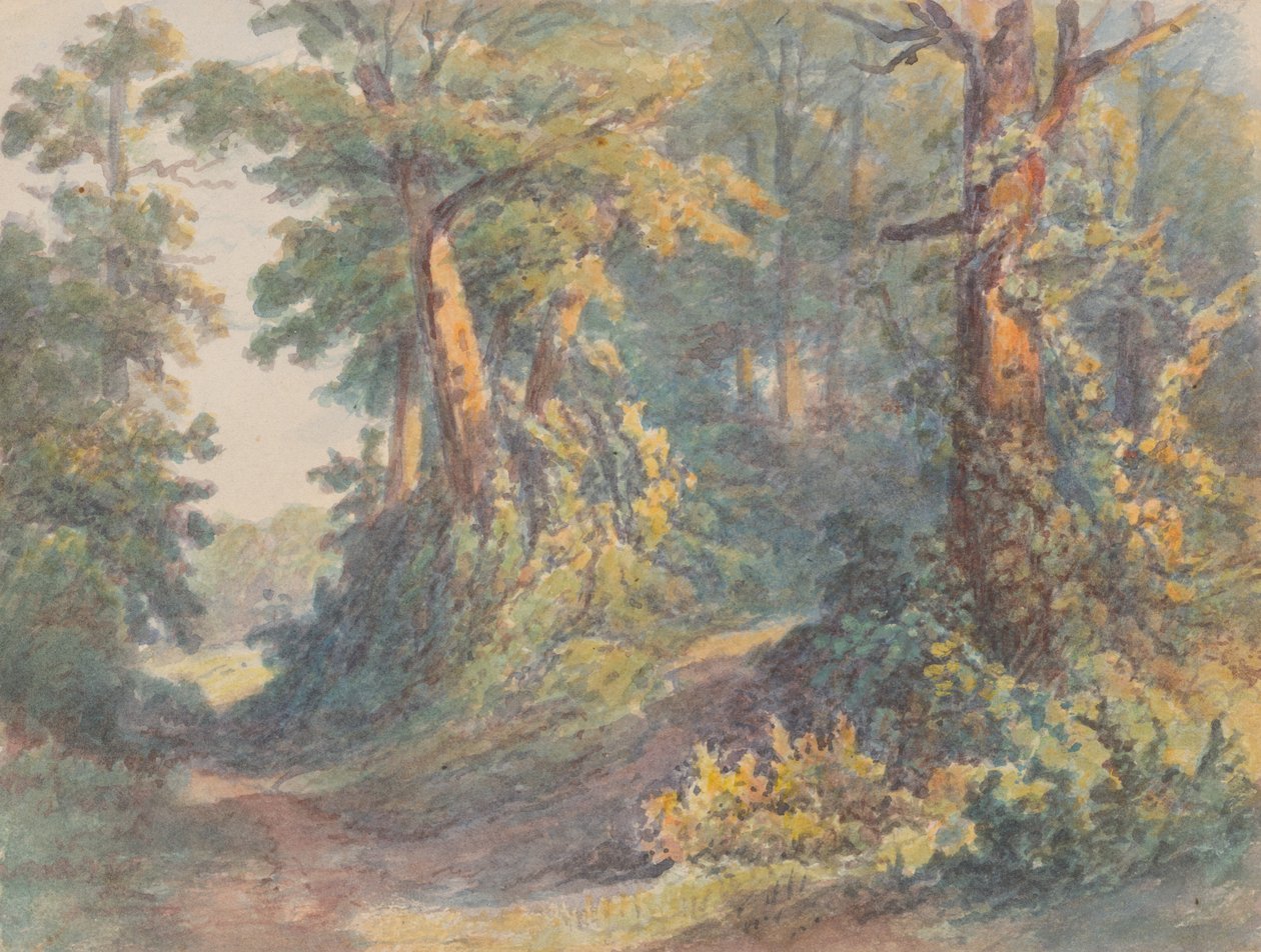 Paesaggio forestale da Friedrich Carl von Scheidlin