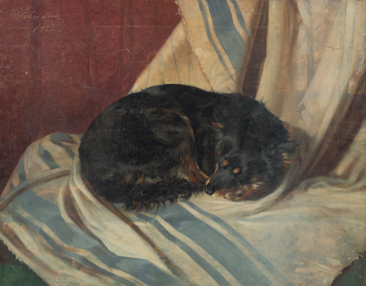Studio di un cane sdraiato da Friedrich Carl von Scheidlin
