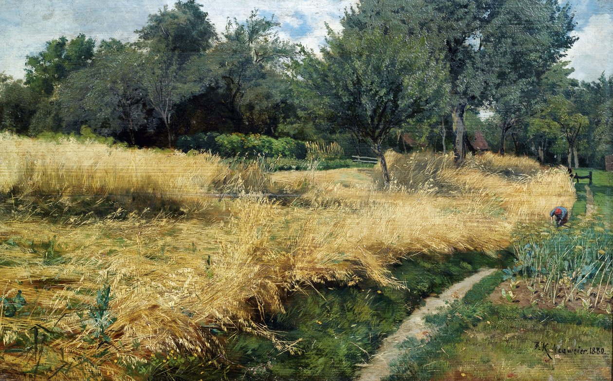 Raccolta dell
