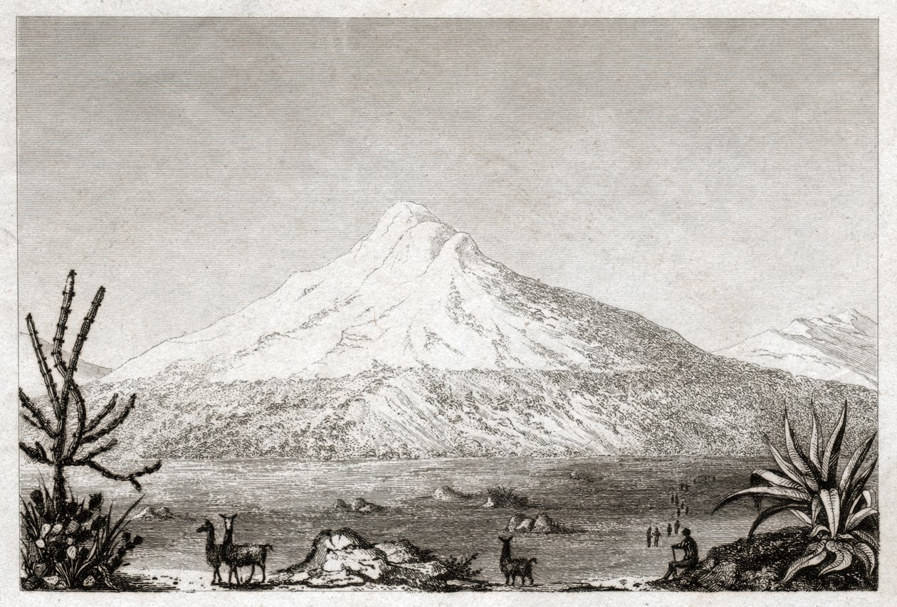 Vulcano Chimborazo da Friedrich Alexander Baron von (after) Humboldt