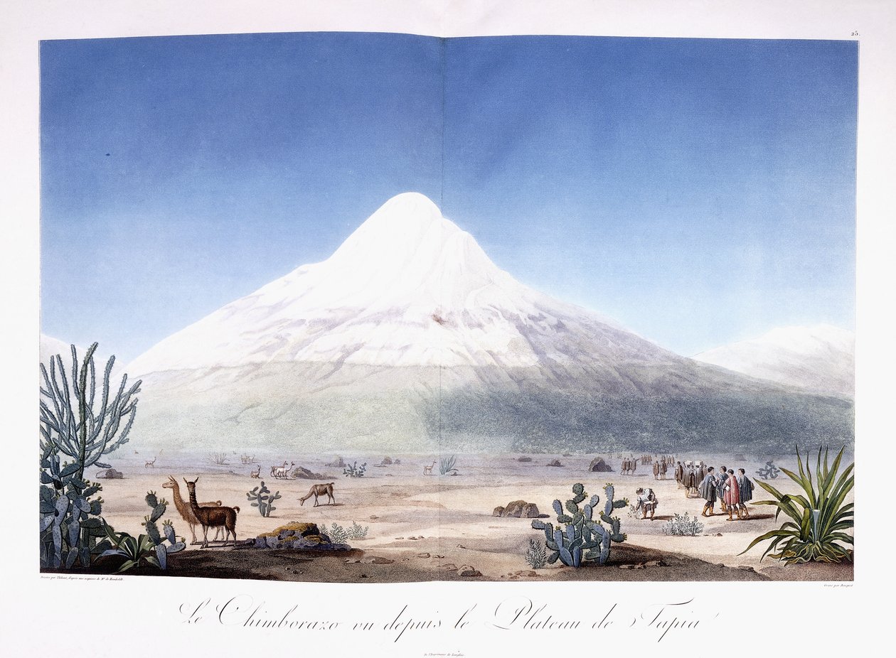 Le Chimborazo visto dal Plateau de Tapia da Friedrich Alexander Baron von (after) Humboldt