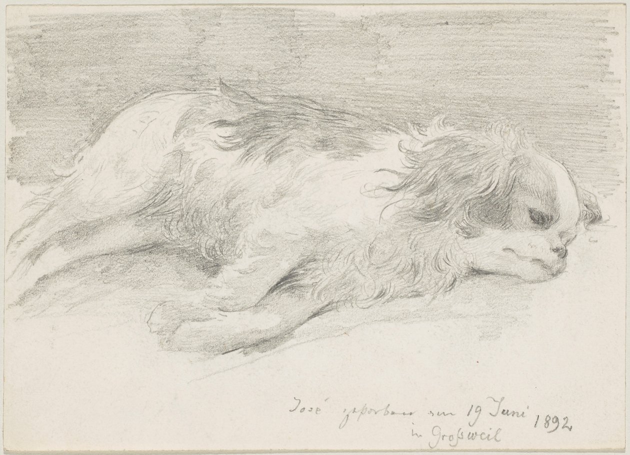Studi di cani da Friedrich August von Kaulbach