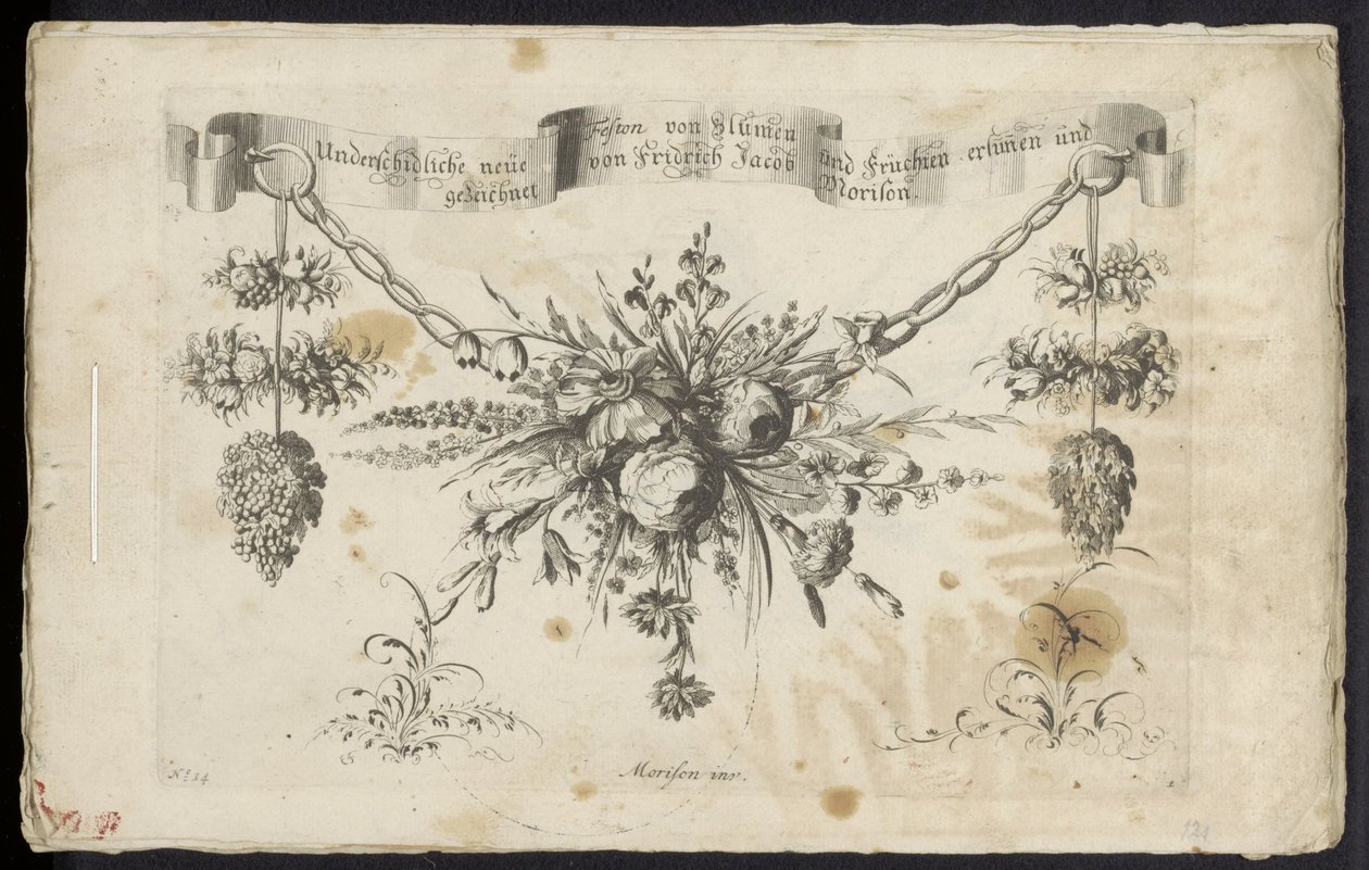 Diversi nuovi festoni di fiori e frutti da Friedrich Jacob Morisson