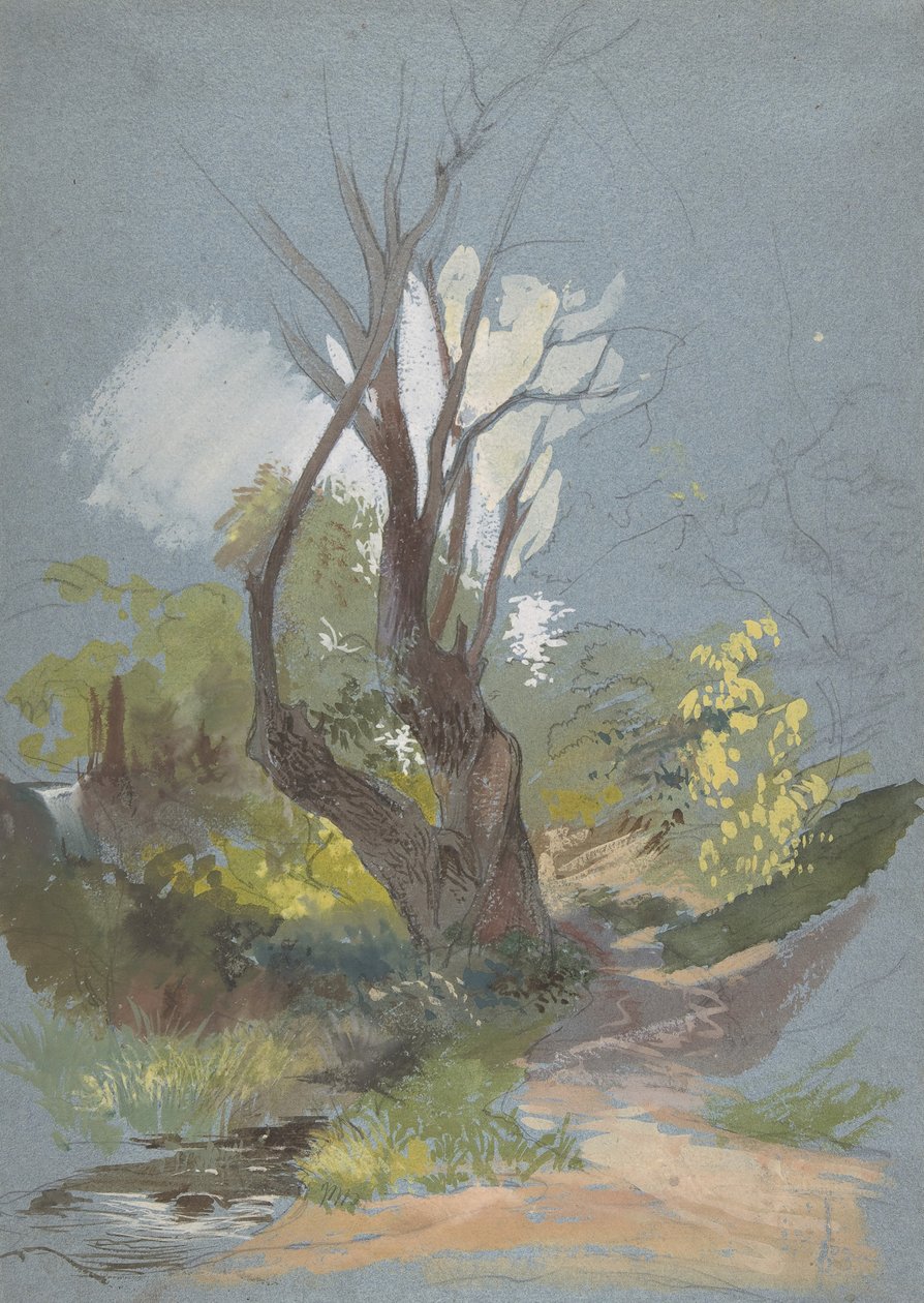 Sentiero di montagna con un albero da Friedrich Nerly