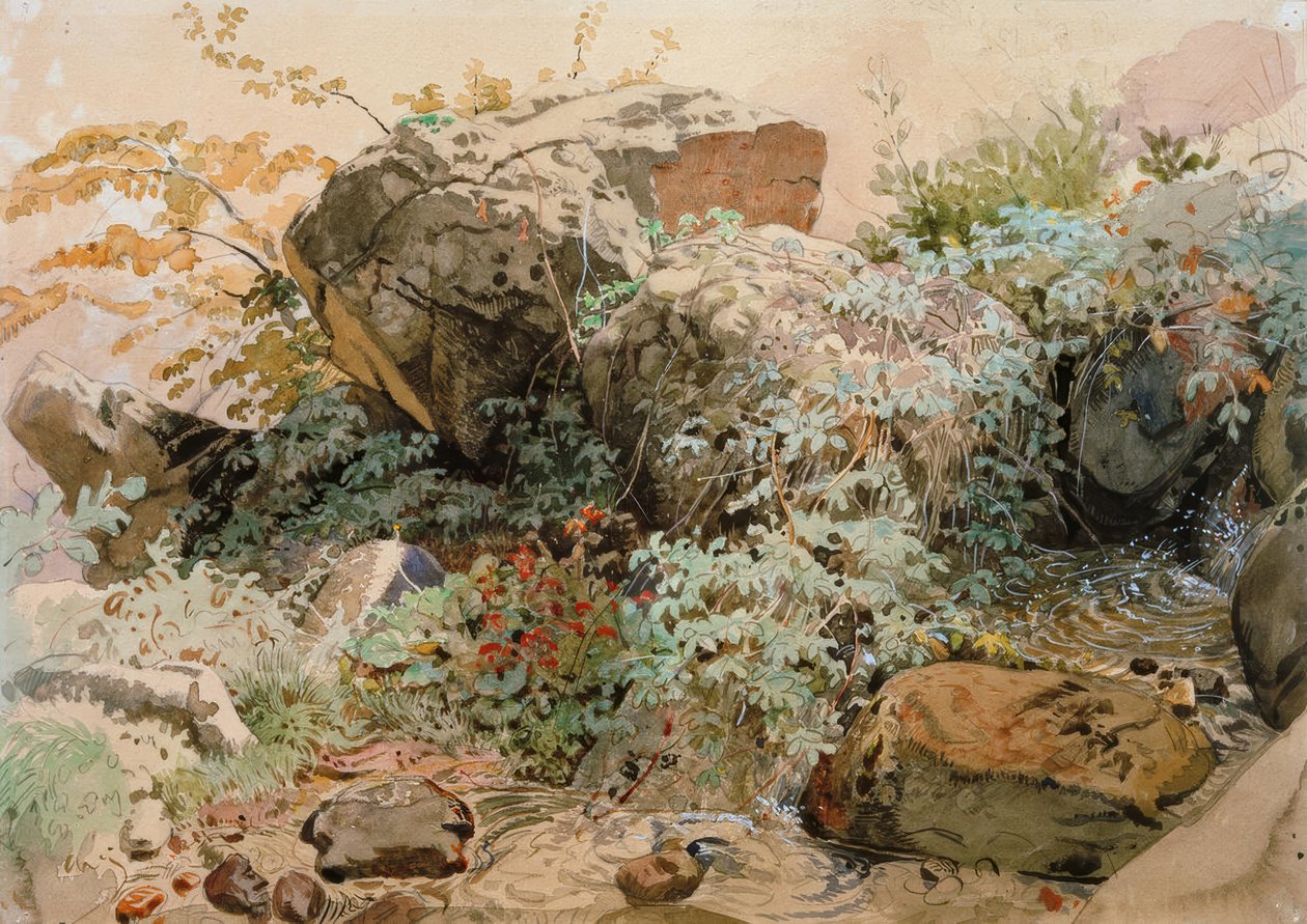 Massi ricoperti di arbusti presso un torrente di montagna da Friedrich Nerly