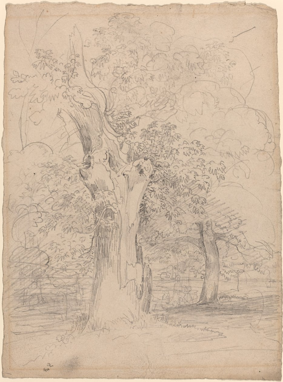 Albero antico con figure in un paesaggio da Friedrich Salathé