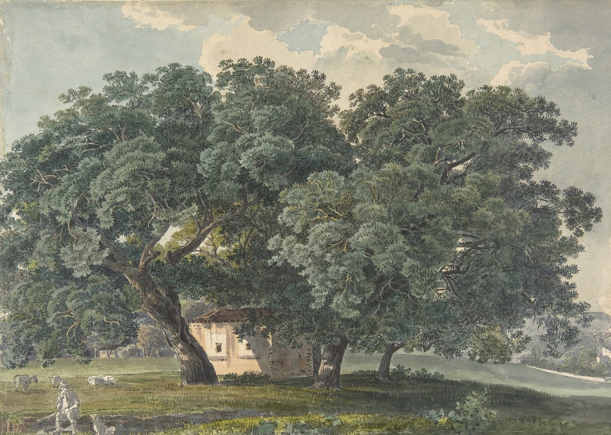 Paesaggio italiano con alberi da Friedrich Salathé