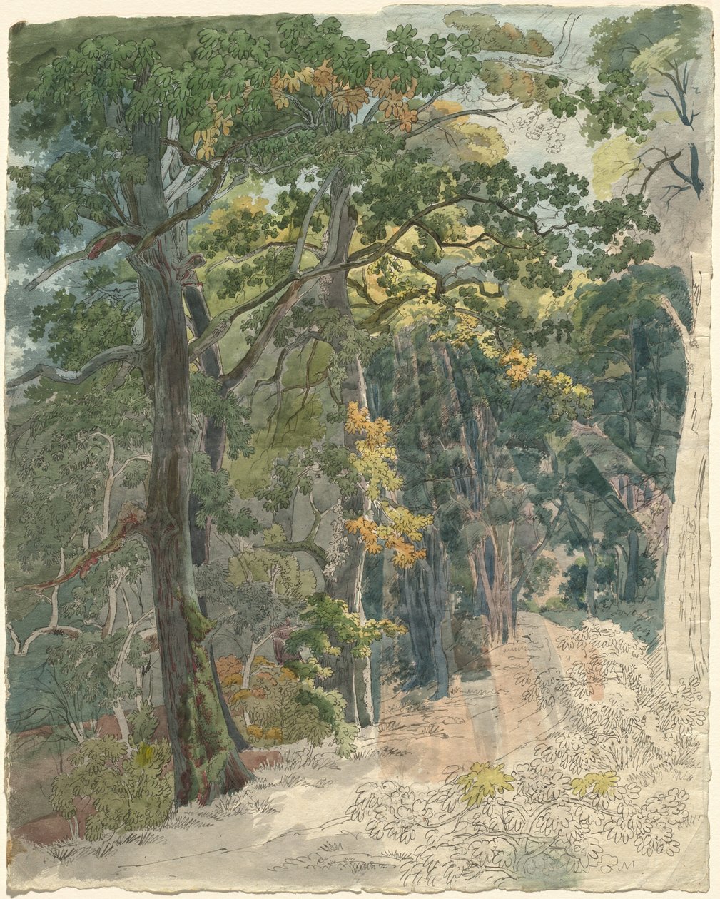 Raggi di sole che colpiscono un sentiero nel bosco da Friedrich Salathé