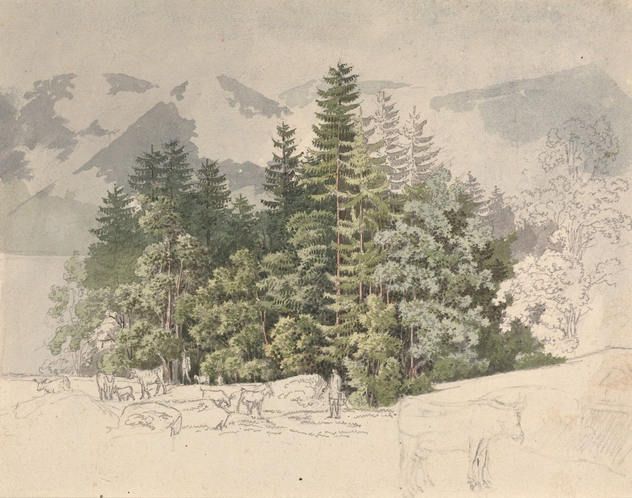 Paesaggio alpino (guazzo su grafite) da Friedrich Salathe