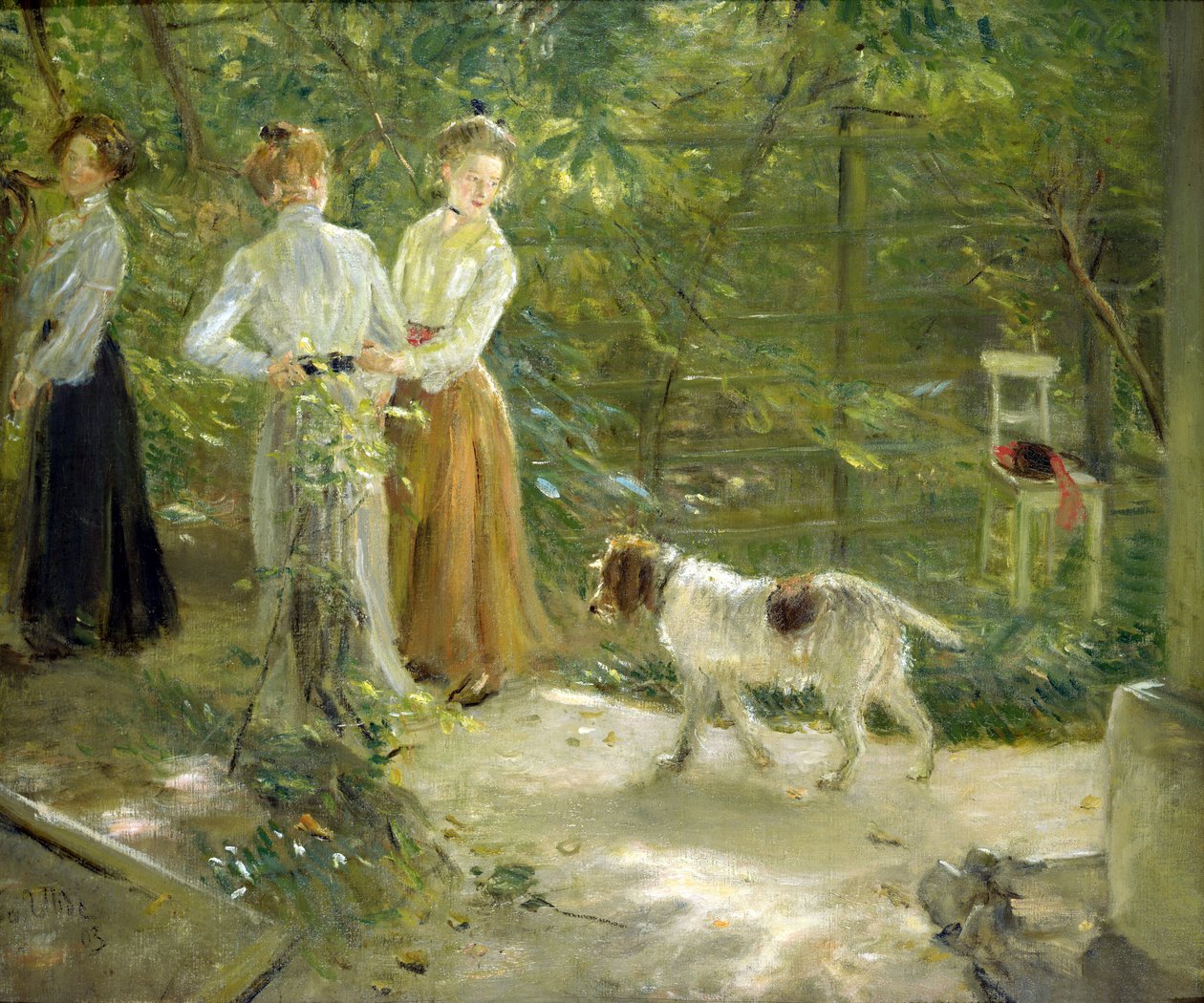 Vista del giardino dell