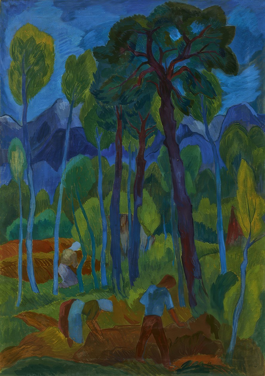 Campagna delle brughiere da Fritz Schaefler