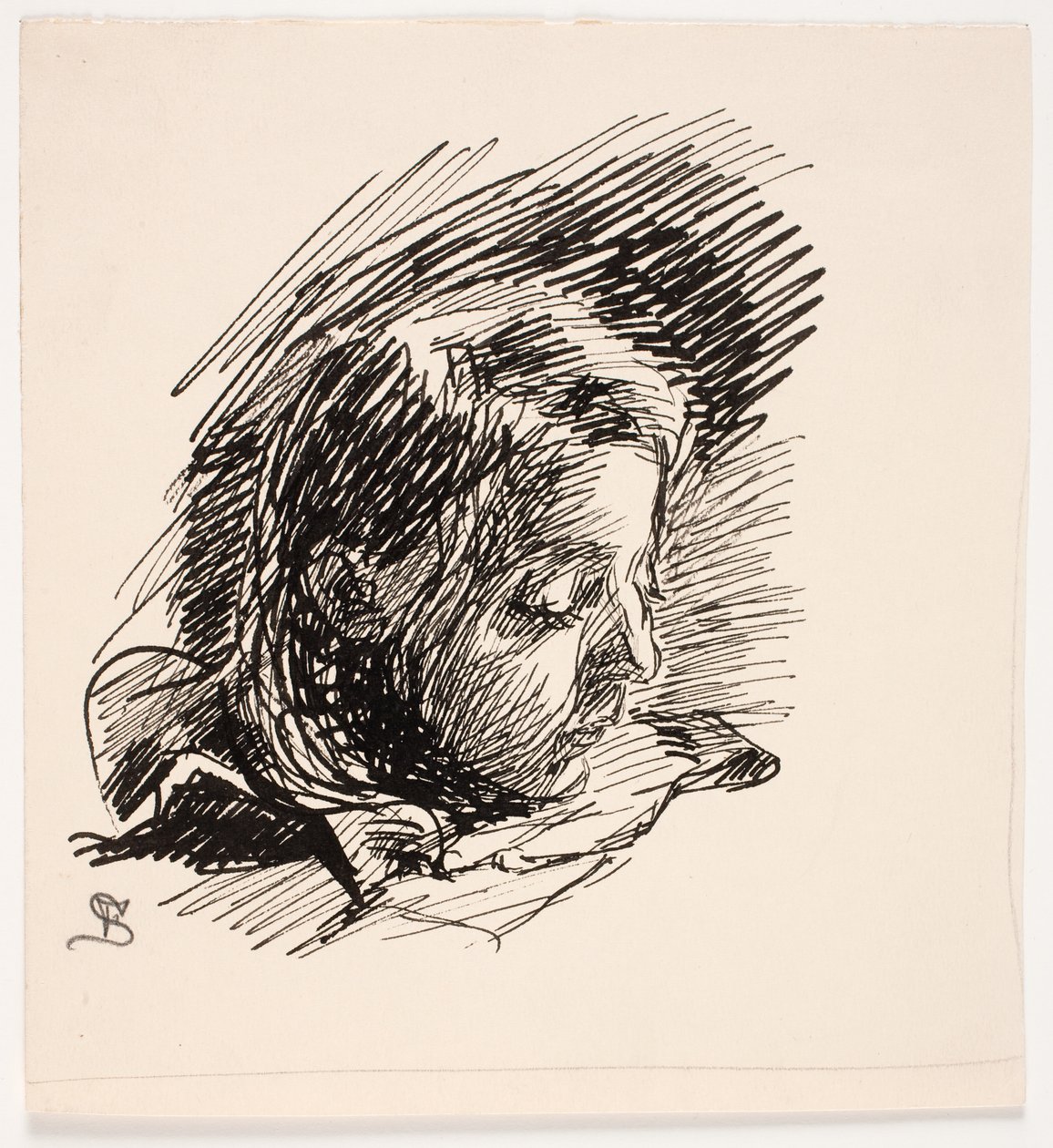Testa della figlia dell