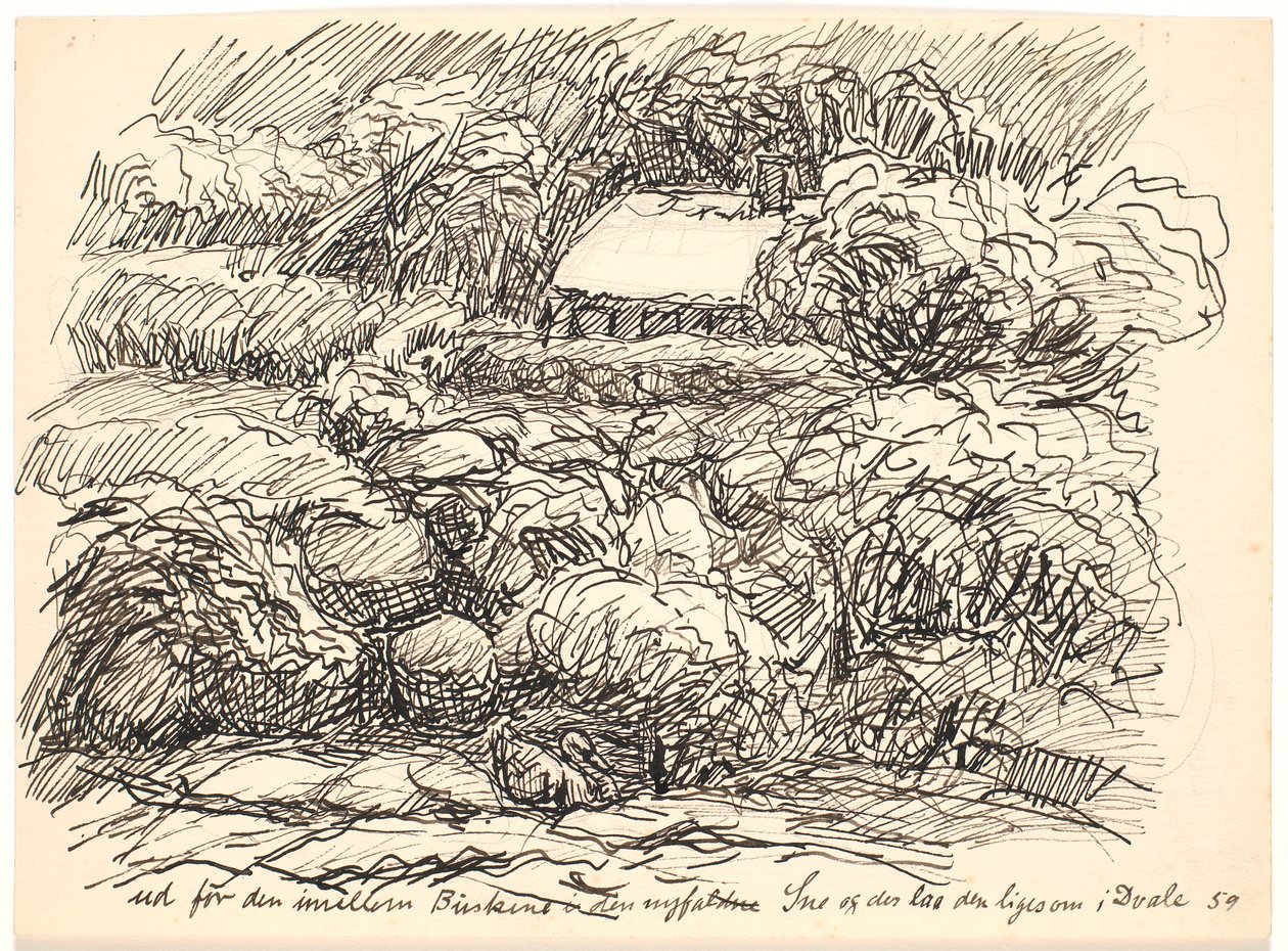 Fuori tra i cespugli... da Fritz Syberg