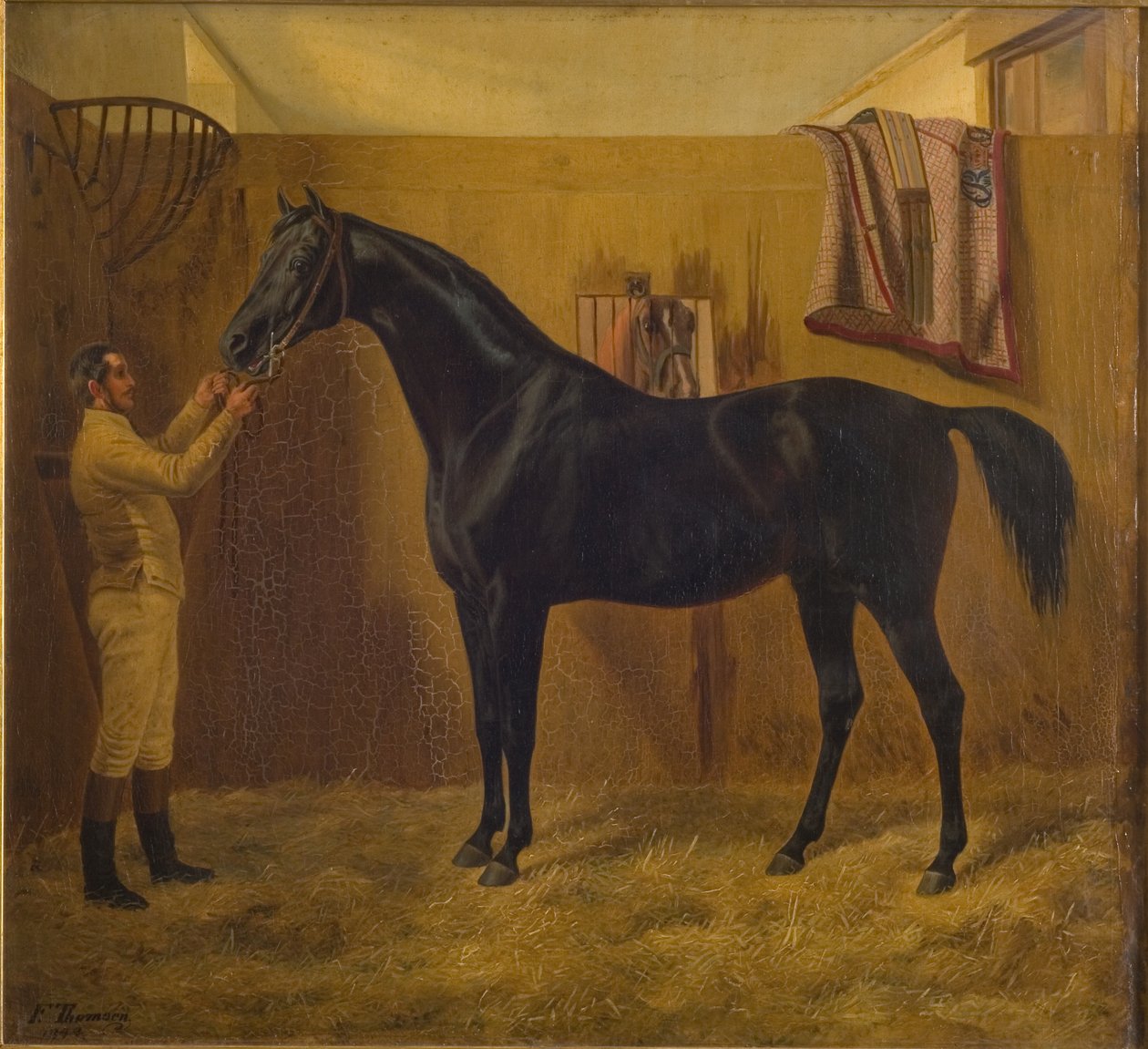 Cometa Nera da Fritz Thomsen