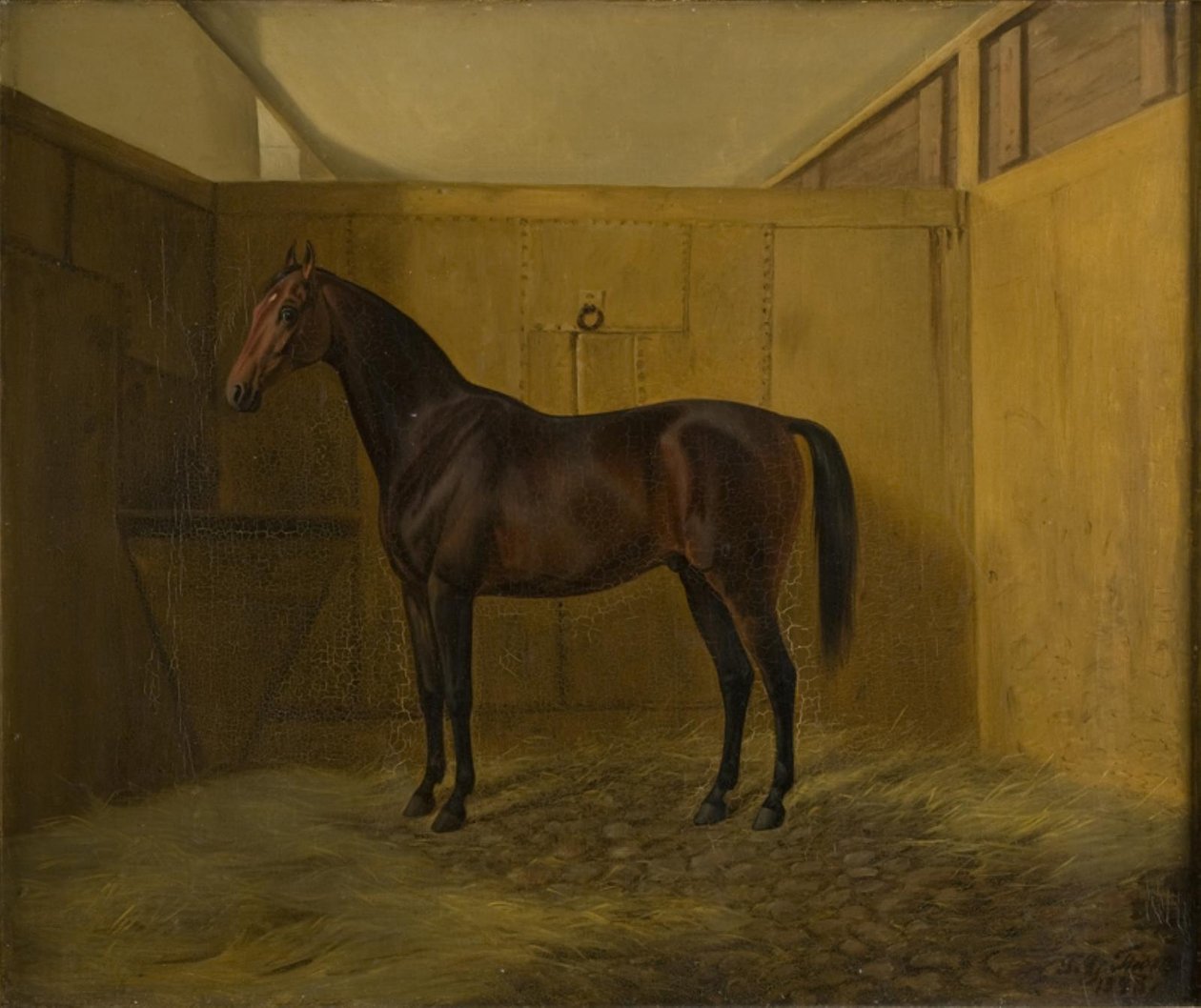 Bruno da Fritz Thomsen